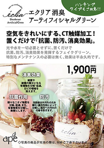 201901012.jpg